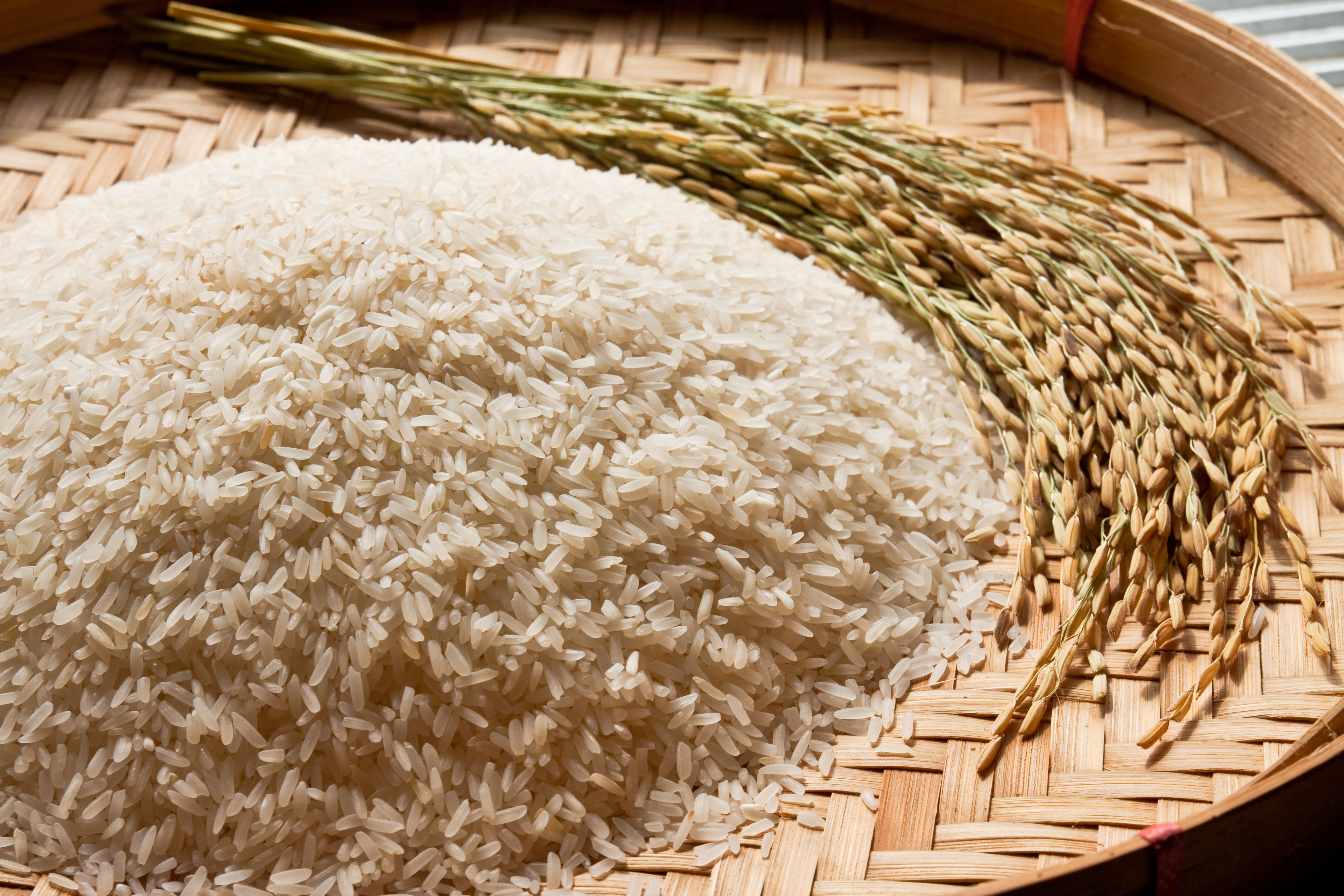 riz